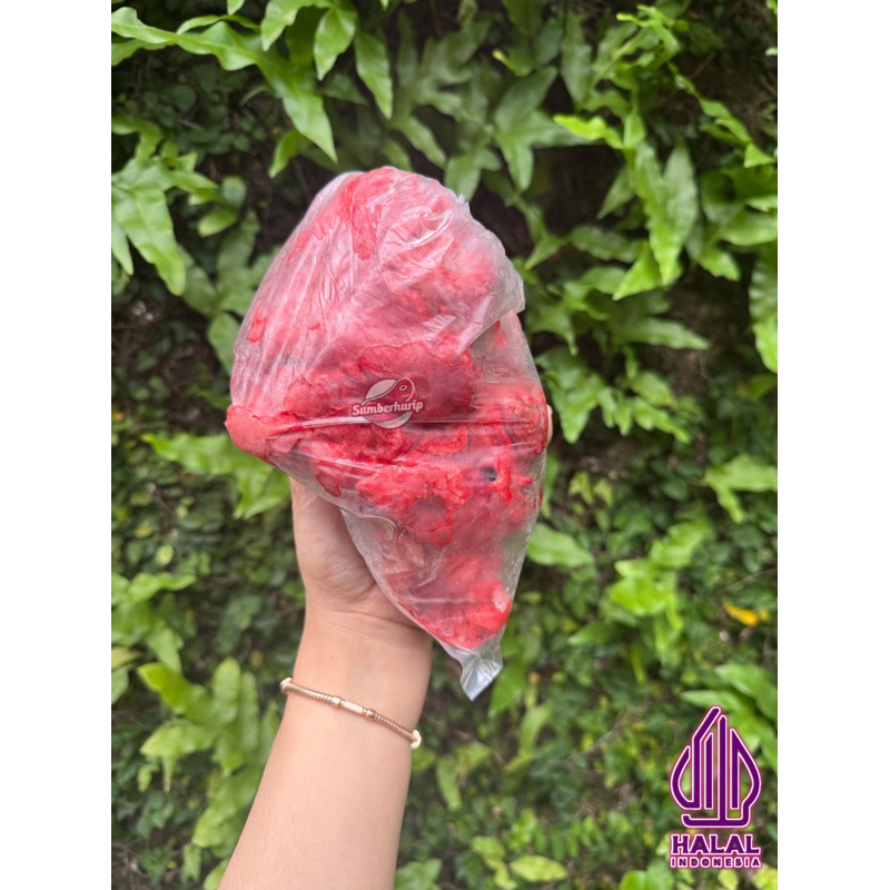 

PARU 500gr TERMURAH