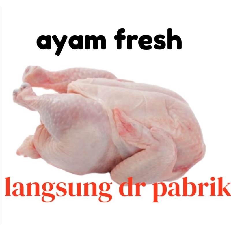 

ayam fresh langsung dr pemotong 500g-1000g