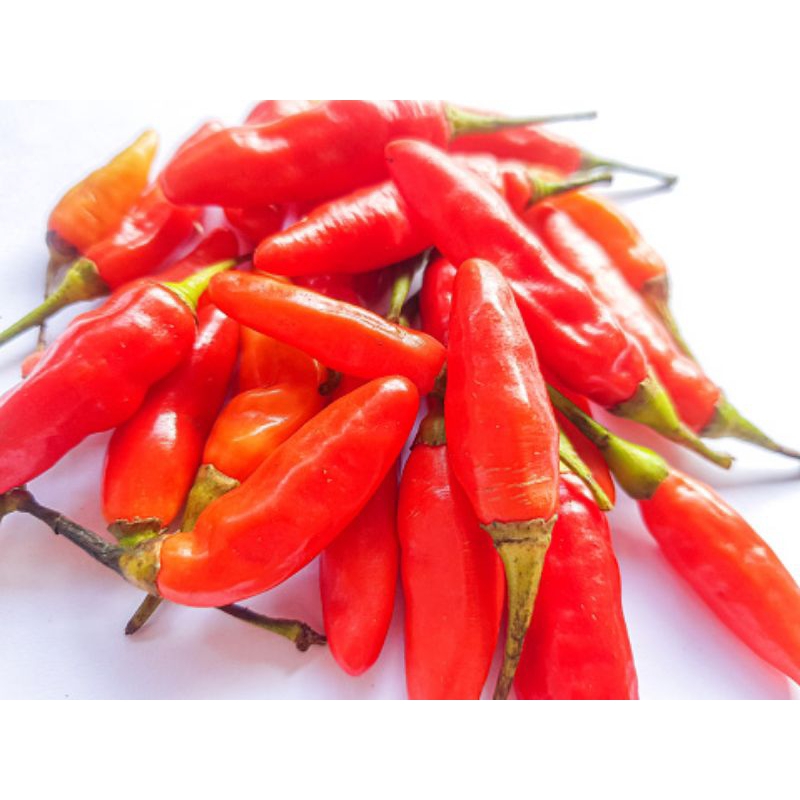 

Sayur cabai domba 250g by pasar Tasik online