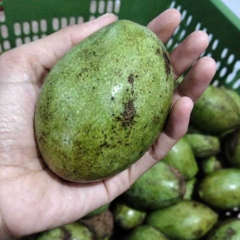 

Mangga Manalagi 1kg isi 5-6