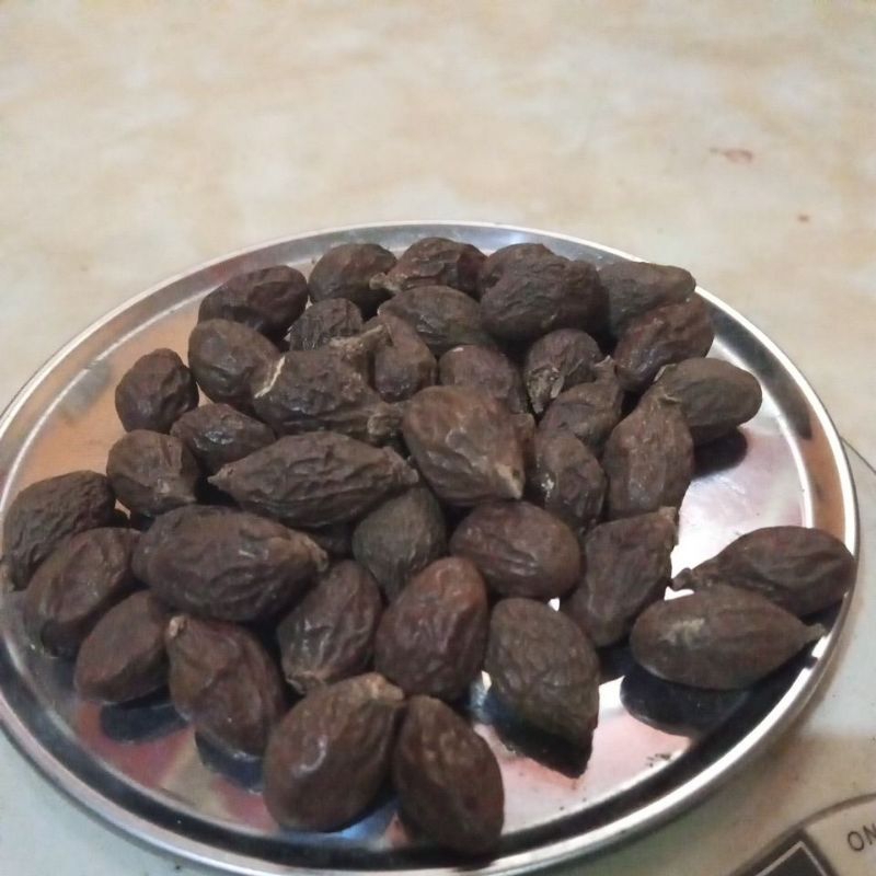 

biji tempayang semangkok 200 gram untuk obat