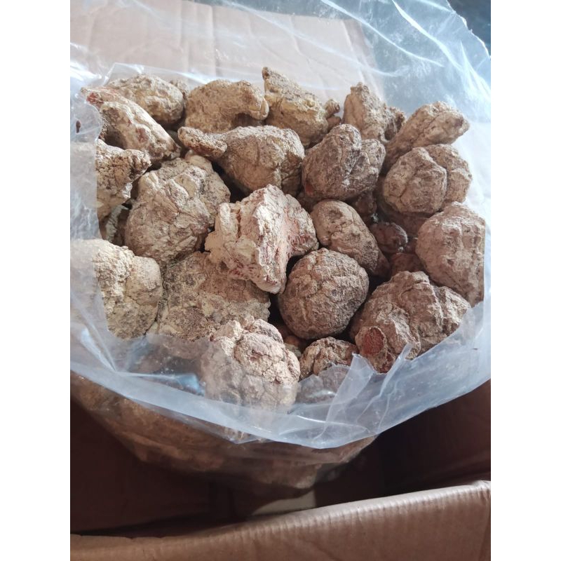 

jamur susu harimau 200 gram super