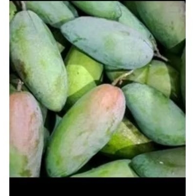 

buah mangga kiojay manis asem segar 1 kg isi 1-2 biji