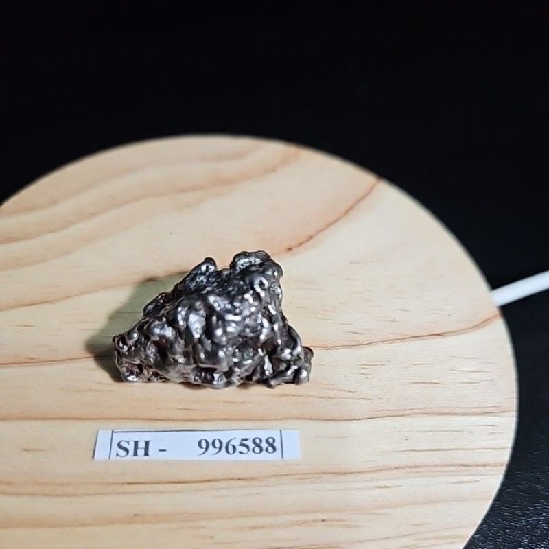 Campo del Cielo Iron Meteorite asli Gran Chaco Gualamba, Argentina