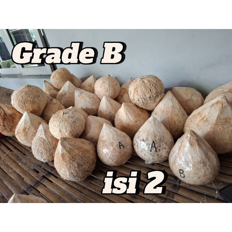 

Kopyor asli lumajang grade B isi 2