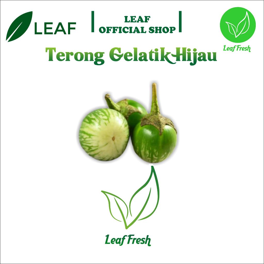 

TERONG GELATIK HIJAU BY LEAF FRESH
