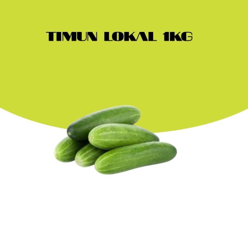 

TIMUN LOKAL