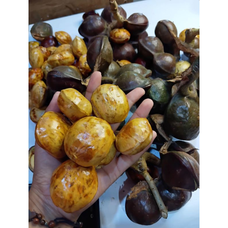JENGKOL JERING TUA 1KG KUPAS MENTAH  SUPER