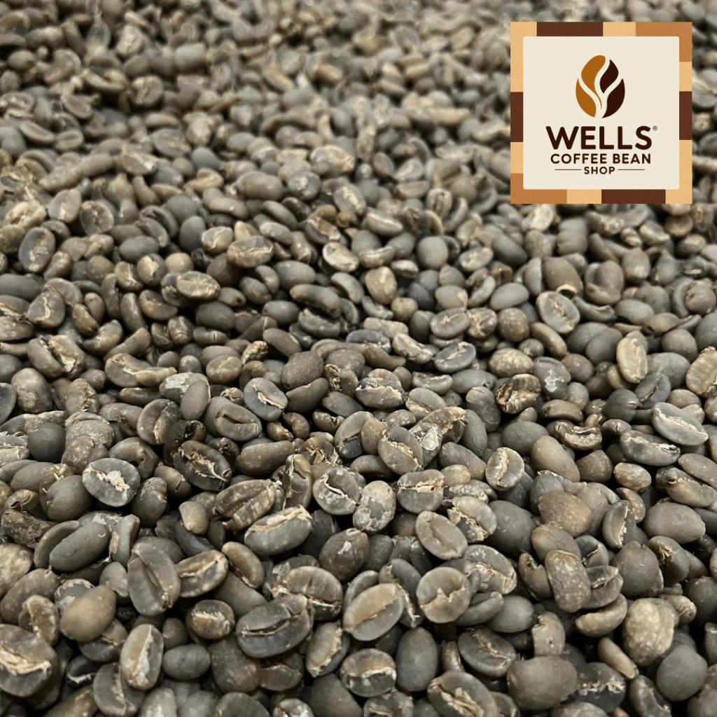 

Well's Toko Biji Kopi - GREEN BEAN KOPI MENTAH ARABIKA TORAJA ENREKANG SEMI WASH GRADE 1 - 1KG