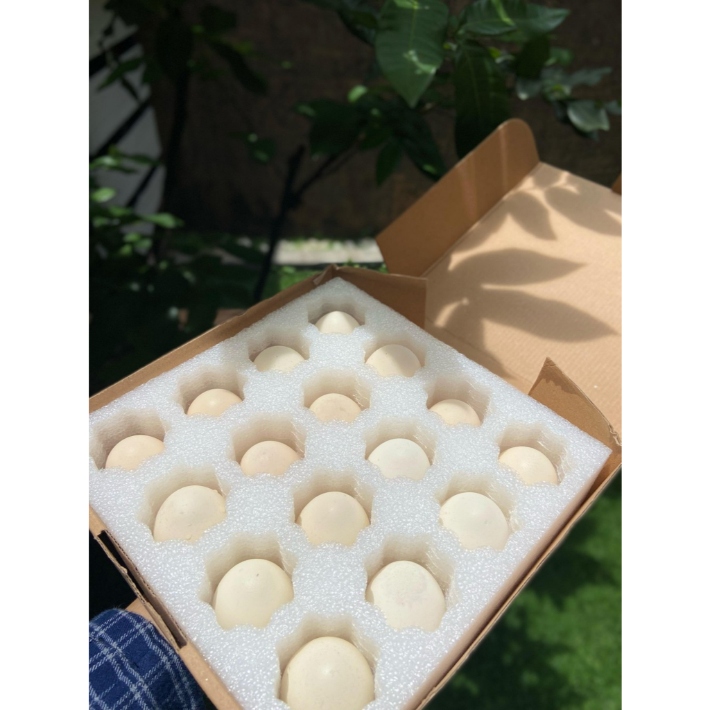 Telur Ayam Kampung isi 1 Box 16 Butir
