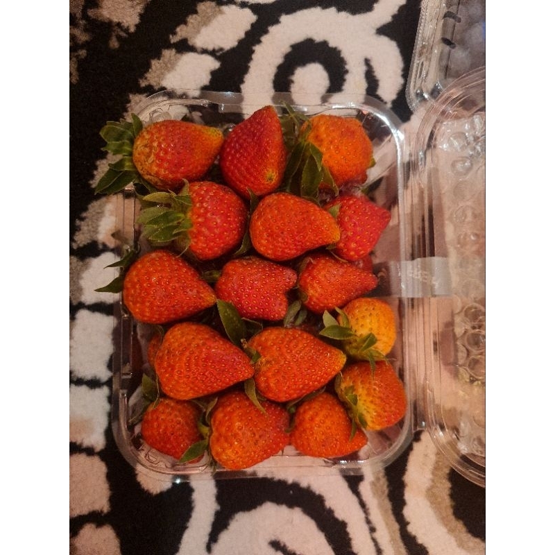 

Strawberry Ciwidey Bandung 500 gram