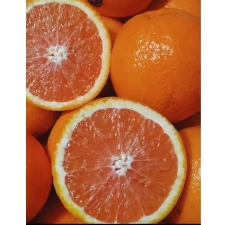 

SUNKIST CARA CARA 1KG
