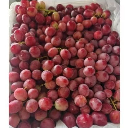 

ANGGUR RED GLOBE AUSSIE 1KG