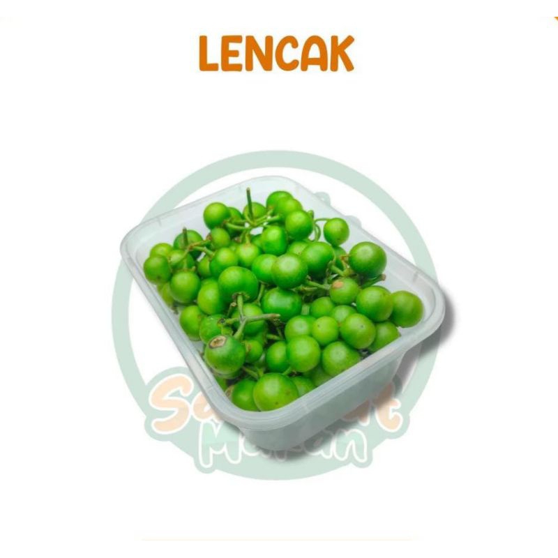 

KIRIM INSTAN Paket Lencak / Lencak Pack