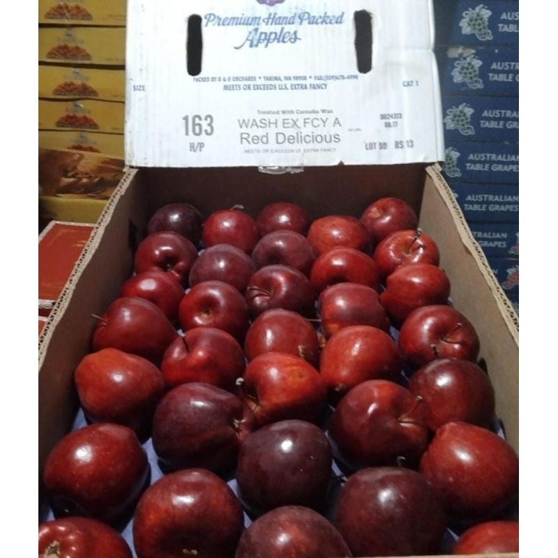 Indukbuah Buah Apel Merah Washington 1 Dus