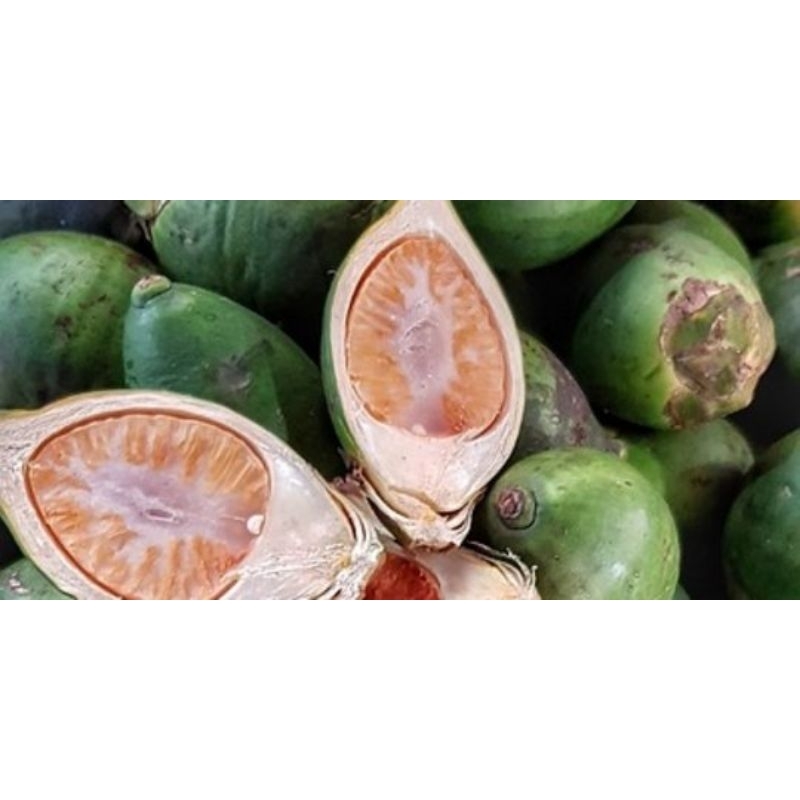 

PINANG MUDA FRES 1KG (30.000)