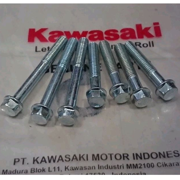 SET BAUT TUTUP MAGNET + TUTUP COVER GIR KAWASAKI NINJA R RR