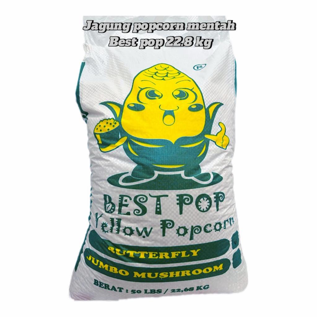 

Jagung Popcorn Mentah Yellow Butterfly 1 Karung