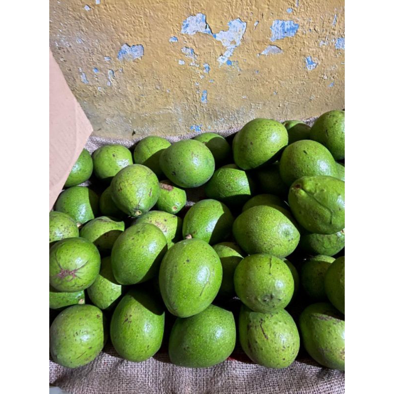 

Alpukat Mentega Jumbo isi 2-3