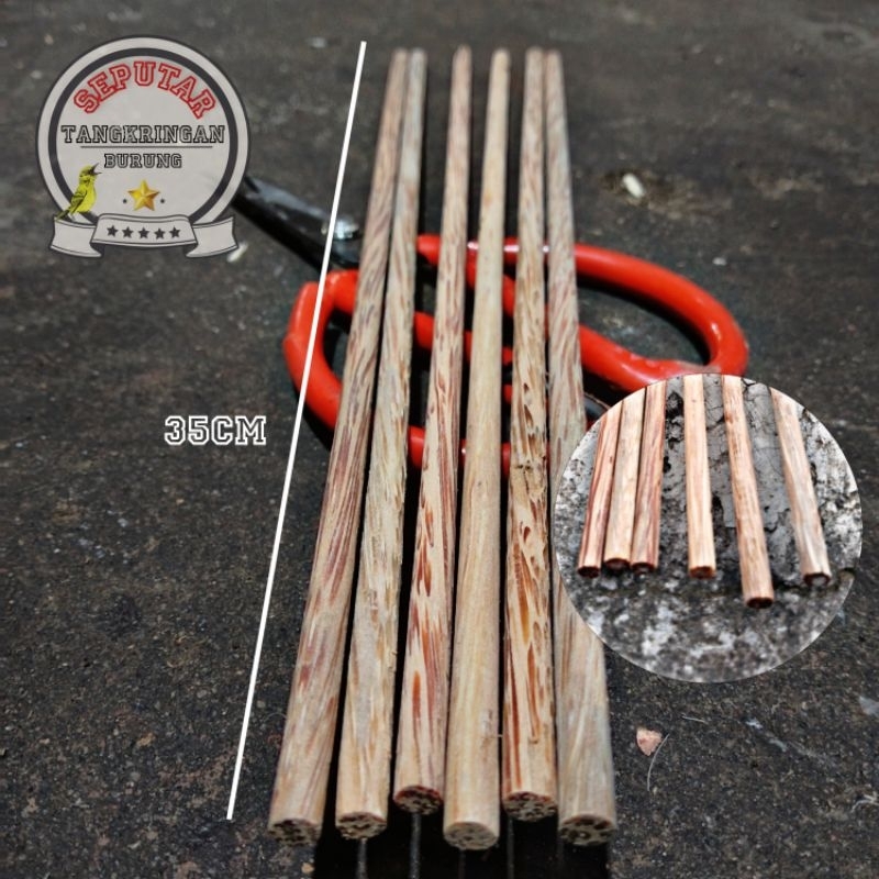 Tangkringan kayu glugu kelapa Tangkringan pleci sogon kolibri halus