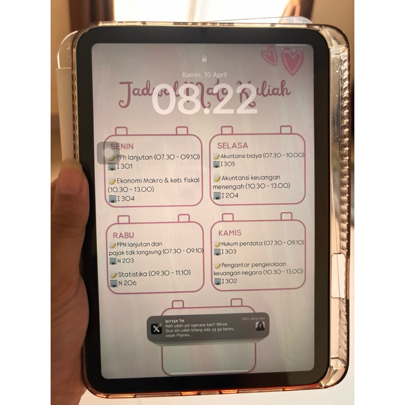 Ipad Mini 6 pink (256gb)