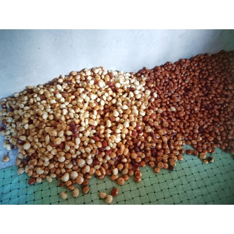 

Jengkol mentah super fuul sortir