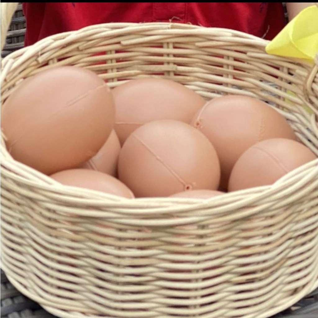 

TELUR PASKAH WARNA WARNI EGG HAPPY EASTER ACARA GEREJA SEKOLAH ANAK PAUD TK COLORFUL HEN CHICKEN EGG