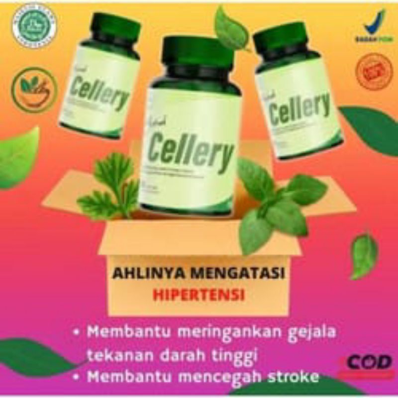 CELLERY Obat Darah Tinggi CELLERY Herbal CELLERY Obat Hipertensi CELLERY. ASLI ORIGINAL
