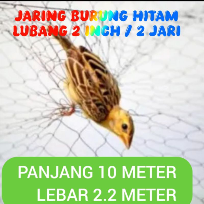 jaring burung kecil lubang 2 jari panjang 10 meter jaring burung pipit jaring burung emprit