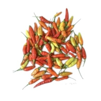 

CABAI RAWIT FRESH LANGSUNG DARI PETANI PETIK TIAP HARI BERGARANSI