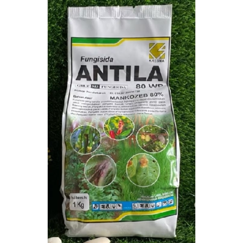 Antila 1kg