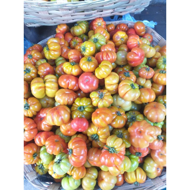 

Tomat Ranti Cocok Sambel Tempong Banyuwangi
