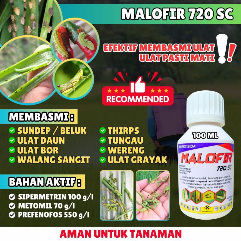 MALOFIR INSEKTISIDA PEMBASMI HAMA ULAT, WERENG, KUPU PUTIH, WALANG SANGIT, DLL