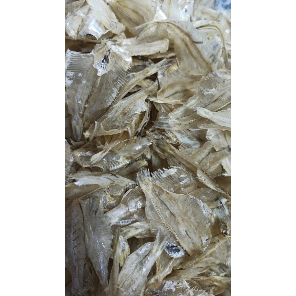 

Ikan Pakang Tawar - Ikan Pakang Tawar Medan - Ikan Pakang - Pakang Tawar - Pakang Medan - Pakang