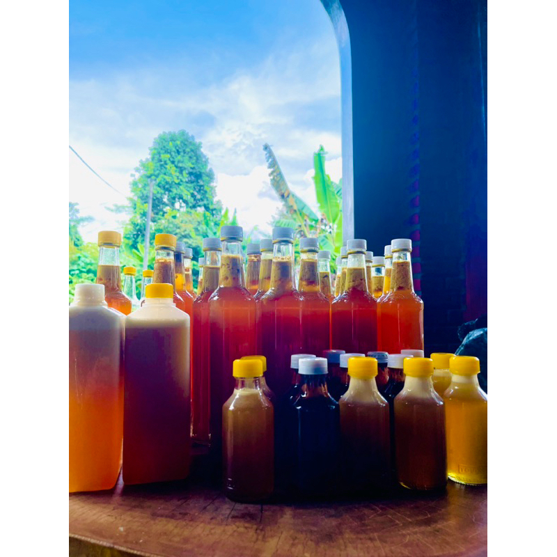 

madu lebah trigona