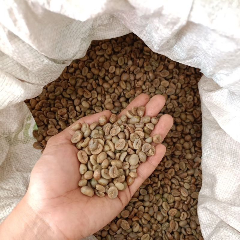 

LICO Kopi Asli Temanggung, Kopi Robusta, Biji Kopi Robusta Temanggung, Kopi Glendengan 500 g dan 1 kg