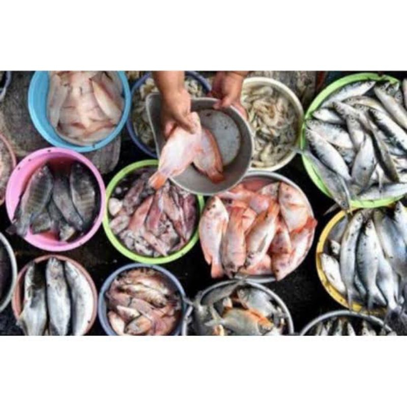 

Ikan segar pasar pagi flamboyan