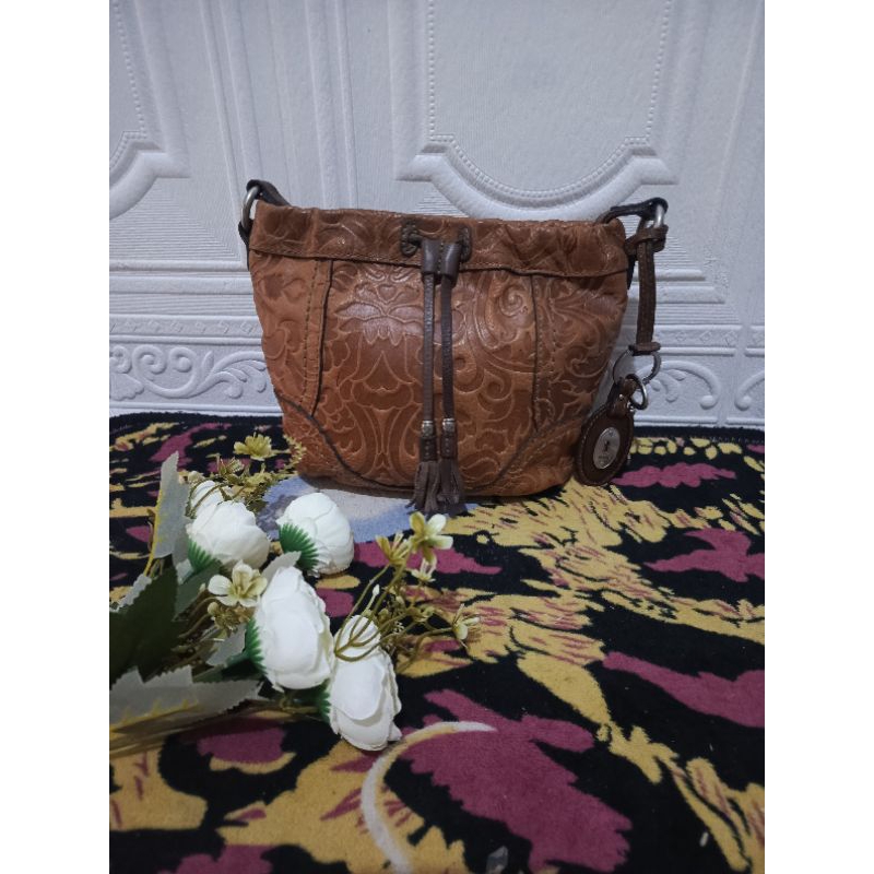 fossil serut Colby camel (embos)