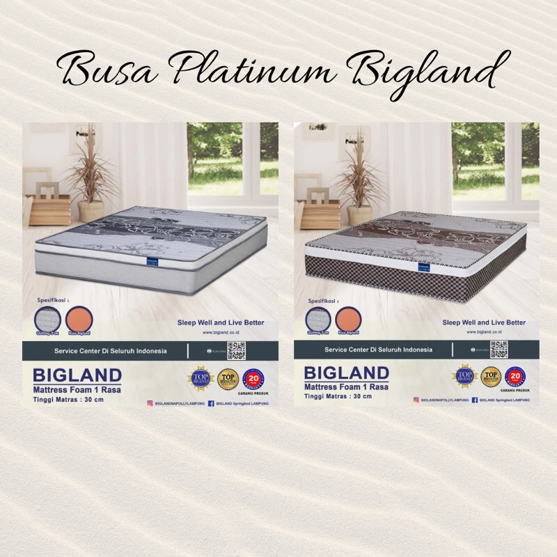 Henny Furniture Busa Platinum Bigland