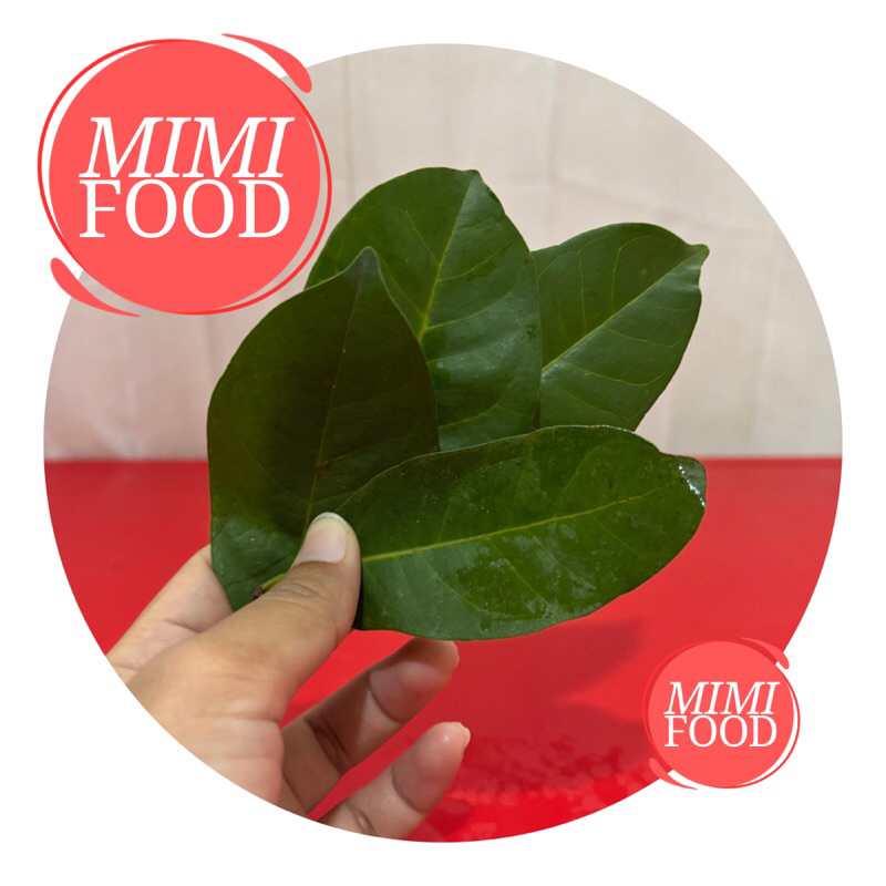 

DAUN SALAM DAUN JERUK