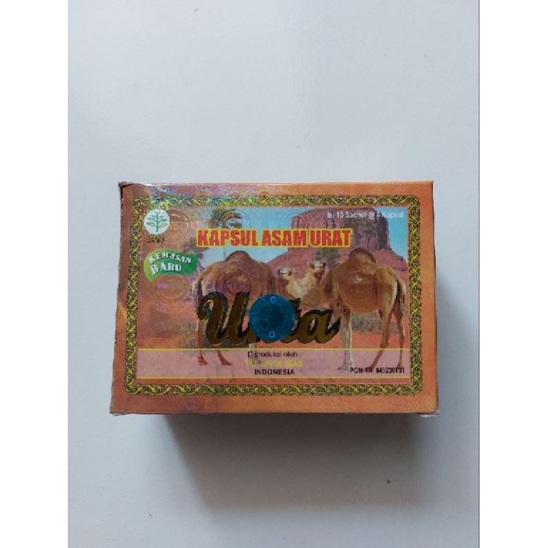 

kotak coklat camelunta