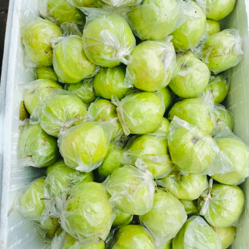 

JAMBU KRISTAL BANGKOK 1KG PREMIUM