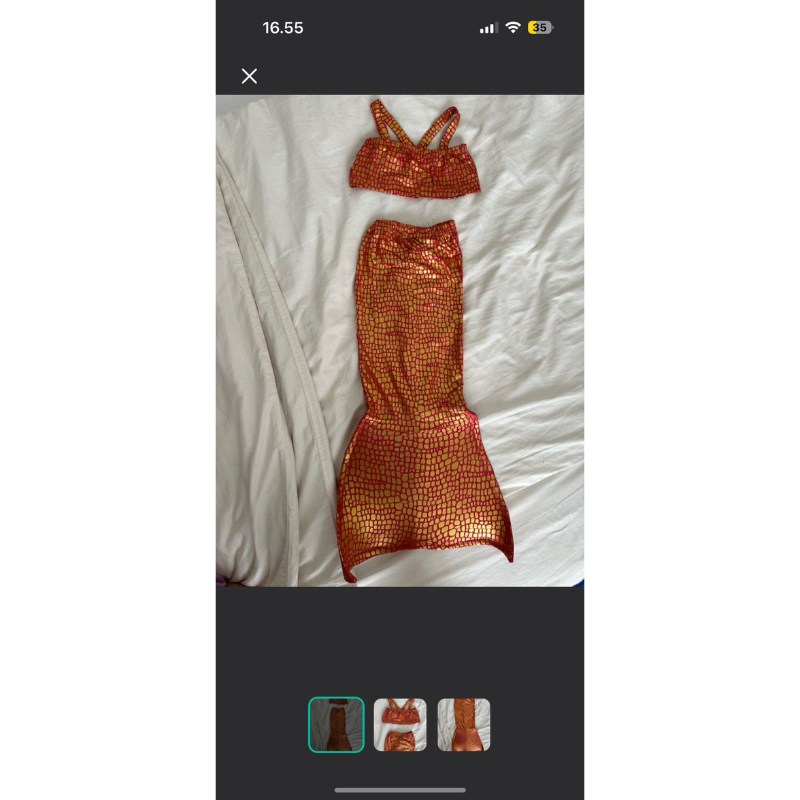 rental mermaid costume