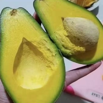 

Buah alpukat mentega butter Lampung 1 kg
