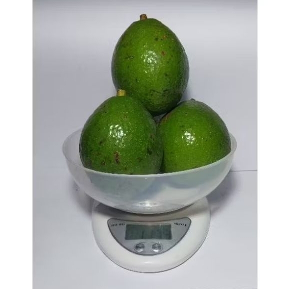 

Alpukat Mentega Miki Merapi 1 kg