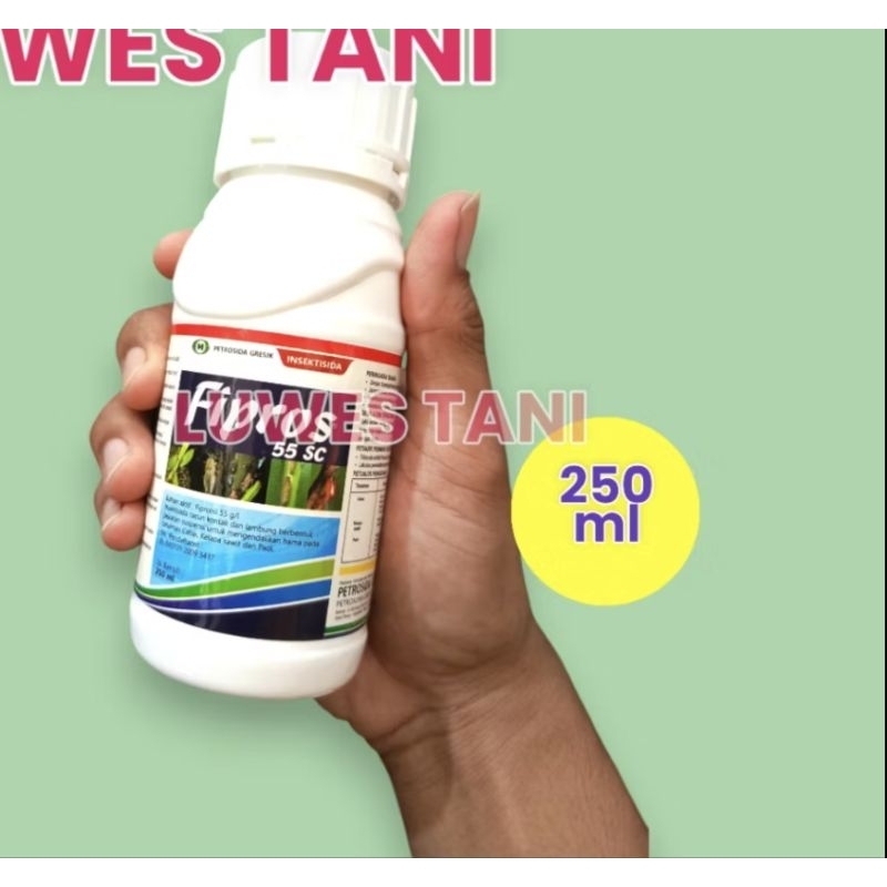 FIPROS 55sc (250) insektisida fipronil