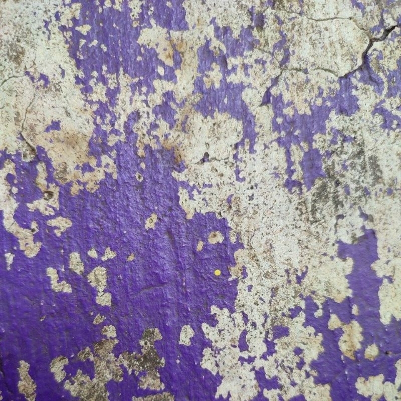 JAKET RABBIT AND WHEELS