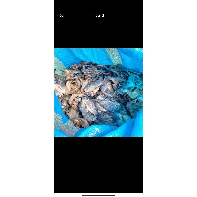 

[TERLARIS] IKAN ASIN MURAH IKAN MUJAIR BERKUALITAS 1 kg