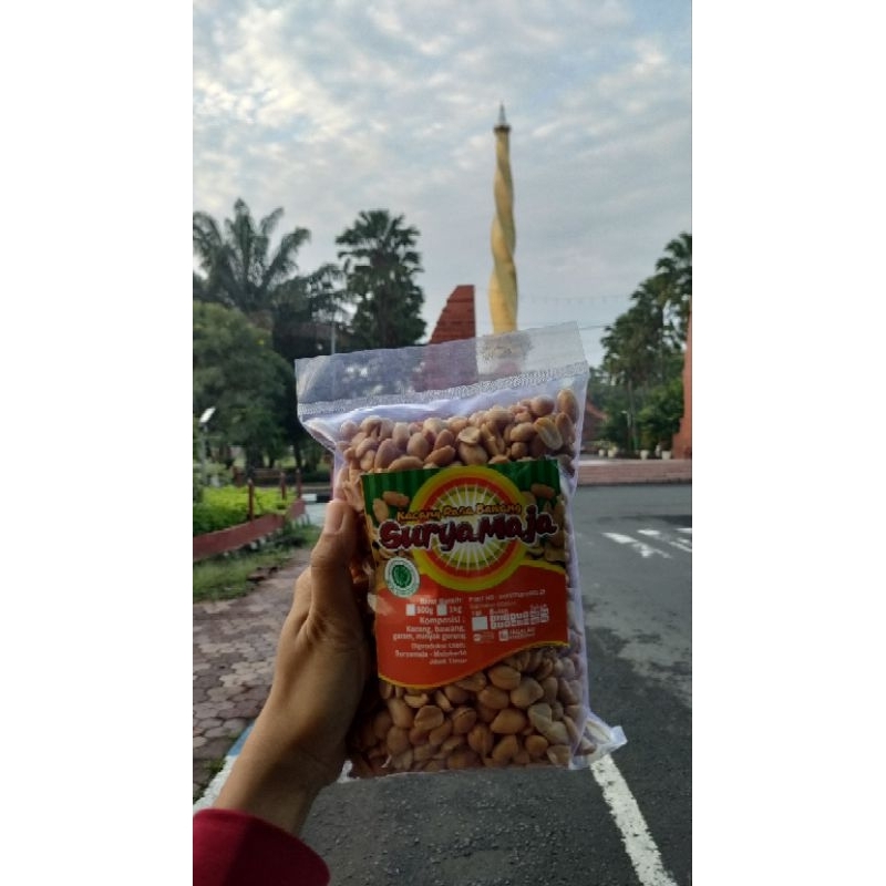 

Kacang suryamaja