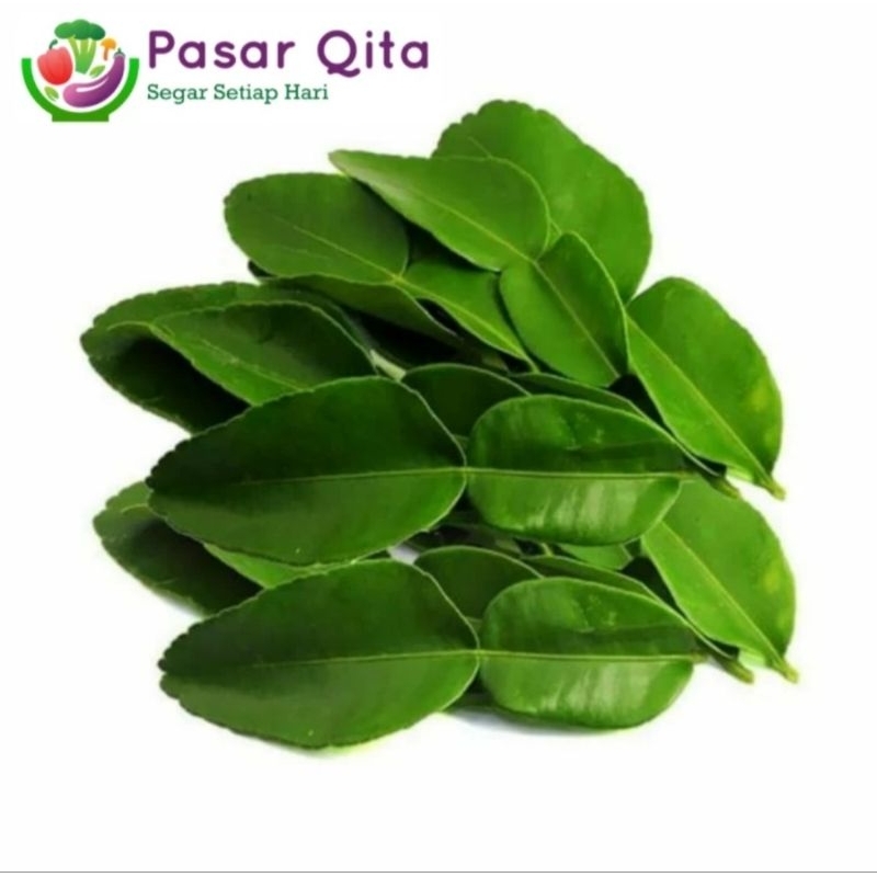 

Daun Jeruk Segar - per bungkus ( Pasar Qita )